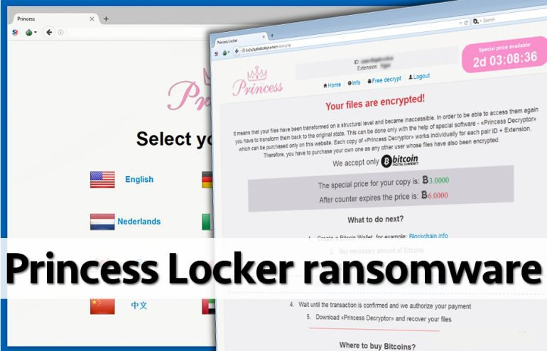 Eliminar princesa Locker ransomware