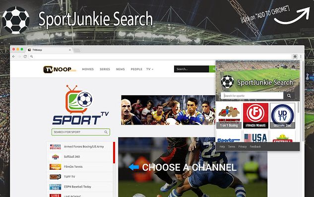 Delete SportJunkie Search