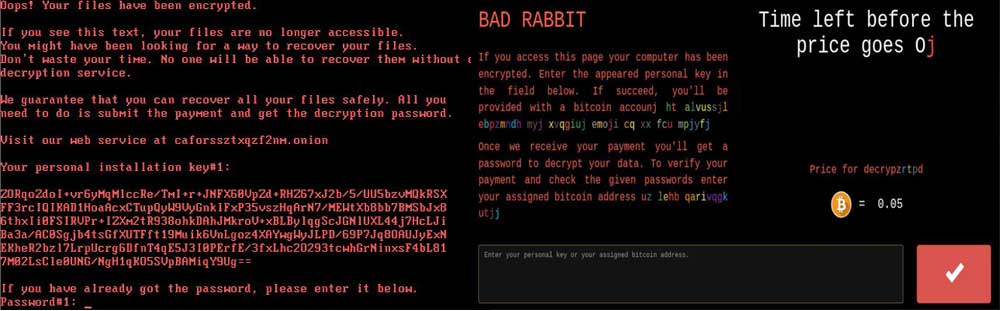 Delete Bad Rabbit Ransomware