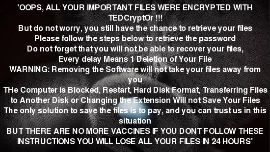 Lösegeld-Notiz von Tedcrypt Ransomware