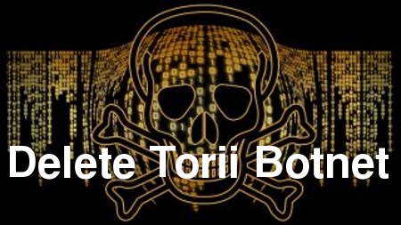 Delete Torii Botnet