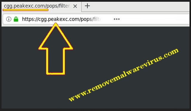Supprimer Cgg.peakexc.com