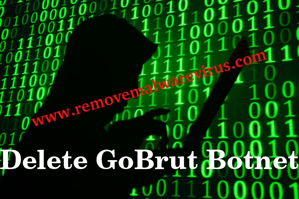 Delete GoBrut Botnet