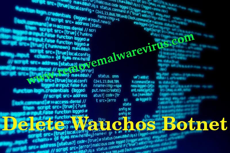 Elimina la Botnet Wauchos