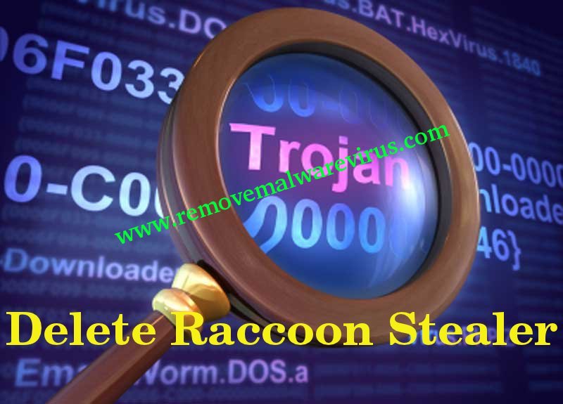 Löschen Sie Raccoon Stealer