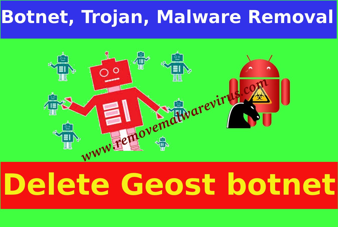Delete Geost botnet